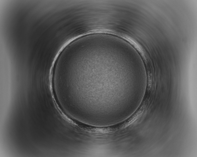 X0000096981102200802081402