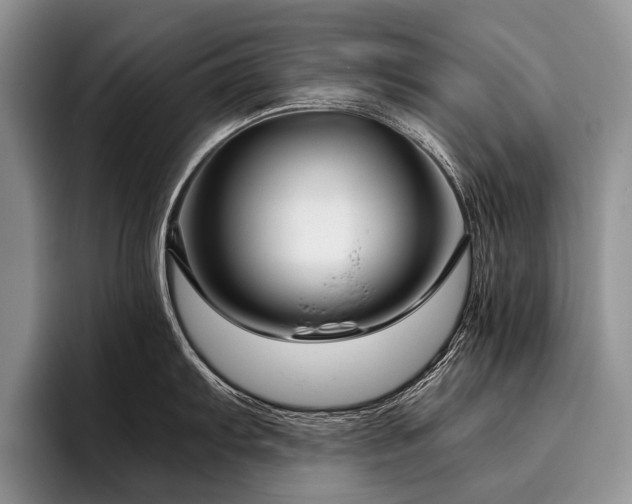 X0000096981103200802081402