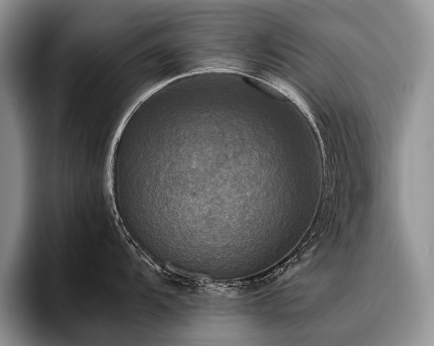 X0000096981104200802081402