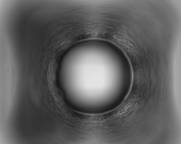 X0000096981105200802081402