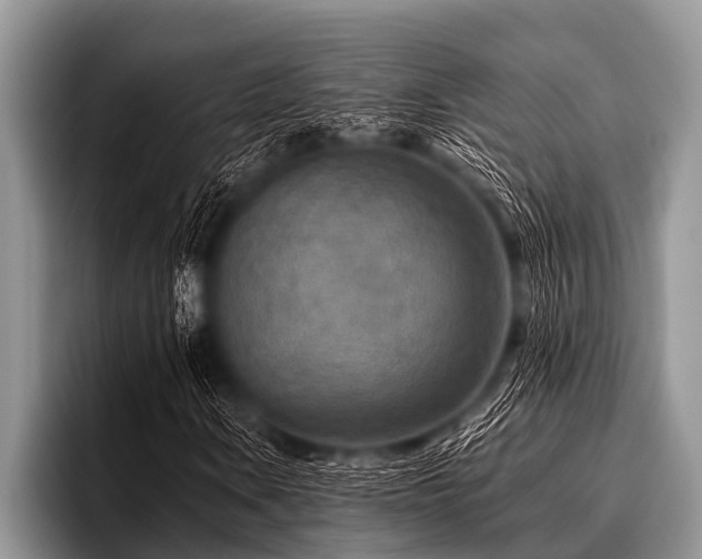 X0000096981106200802081402