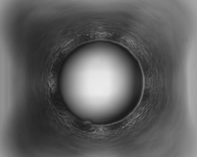 X0000096981109200802081402