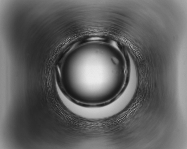 X0000096981110200802081402