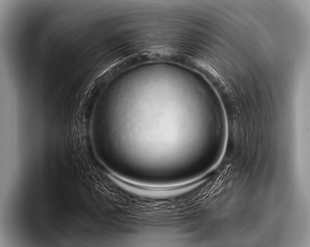 X0000096981112200802081402