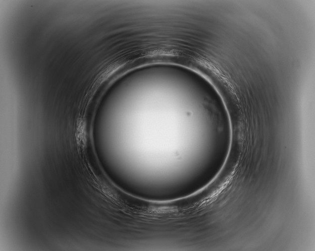 X0000096981113200802081402