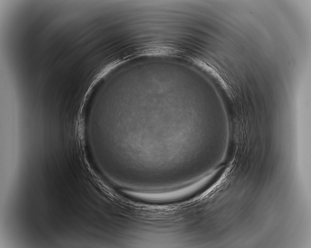 X0000096981114200802081402