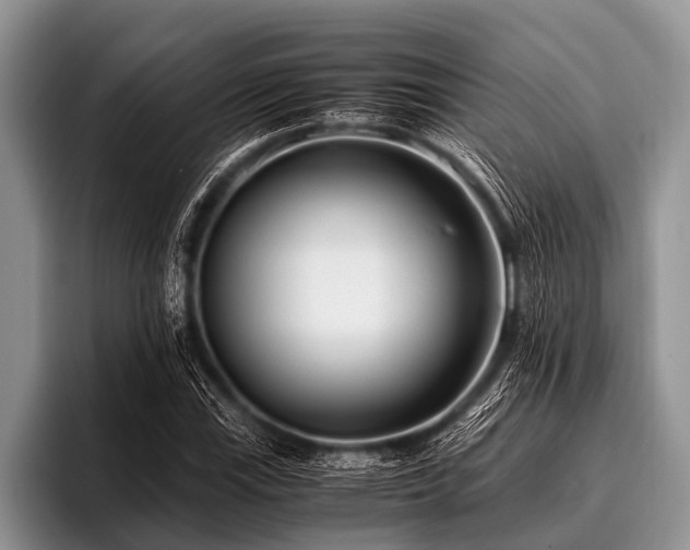 X0000096981115200802081402