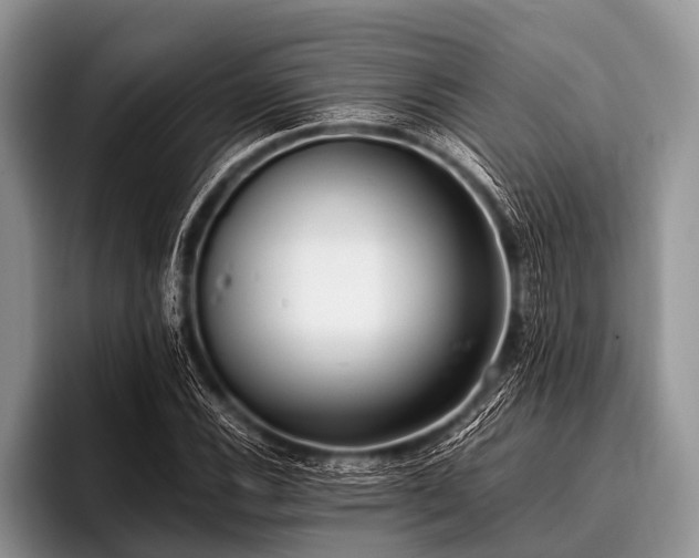 X0000096981116200802081402