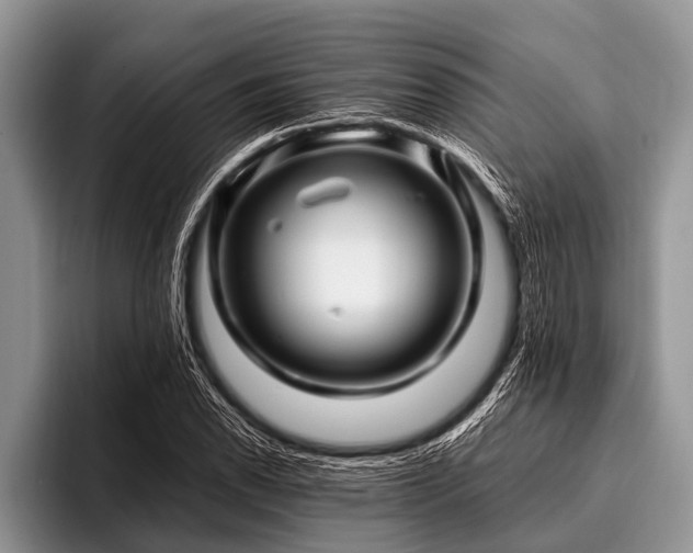 X0000096981118200802081402