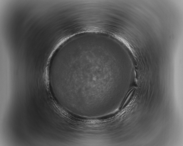 X0000096981120200802081402