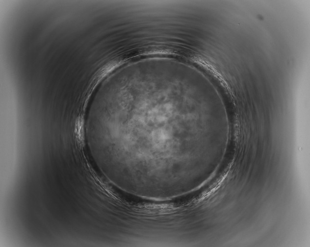 X0000096981121200802081402