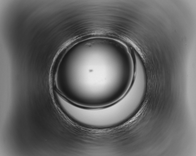 X0000096981122200802081402