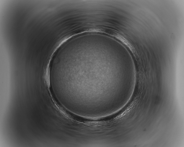 X0000096981127200802081402