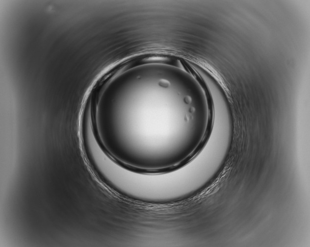 X0000096981128200802081402