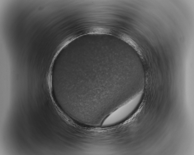 X0000096981130200802081402