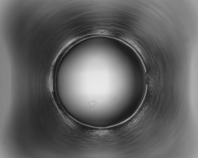 X0000096981131200802081402