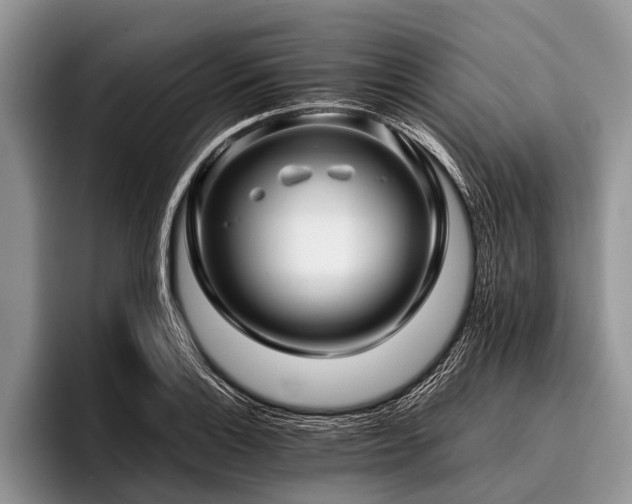 X0000096981132200802081402