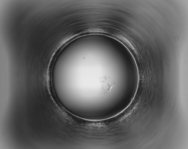 X0000096981133200802081402