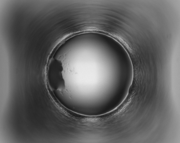 X0000096981134200802081402