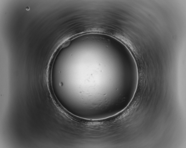 X0000096981135200802081402