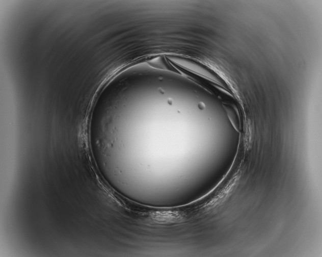 X0000096981137200802081402