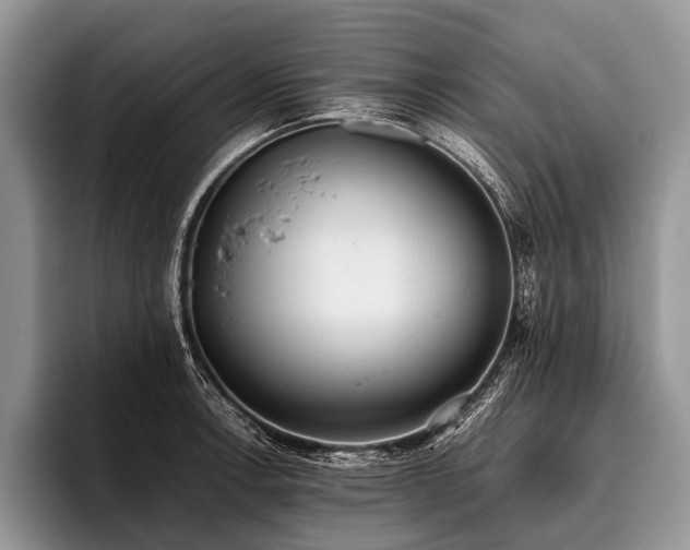 X0000096981138200802081402