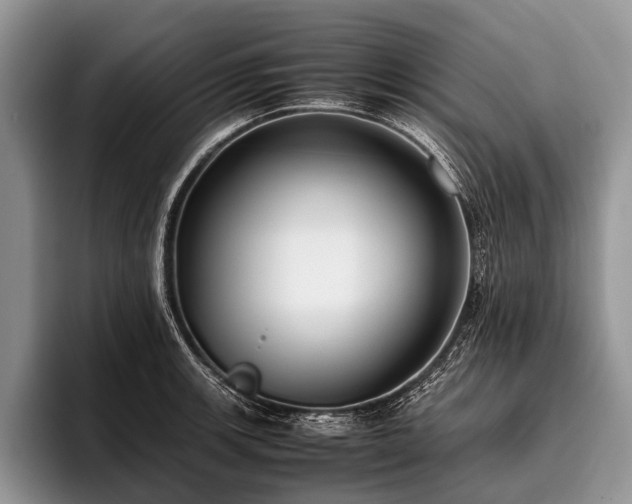 X0000096981139200802081402