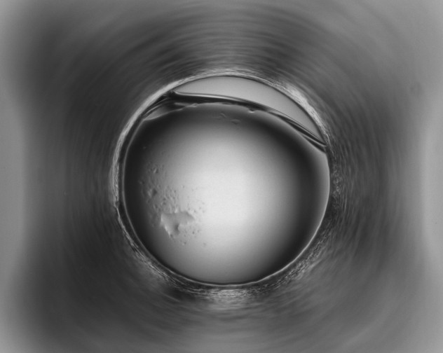 X0000096981140200802081402