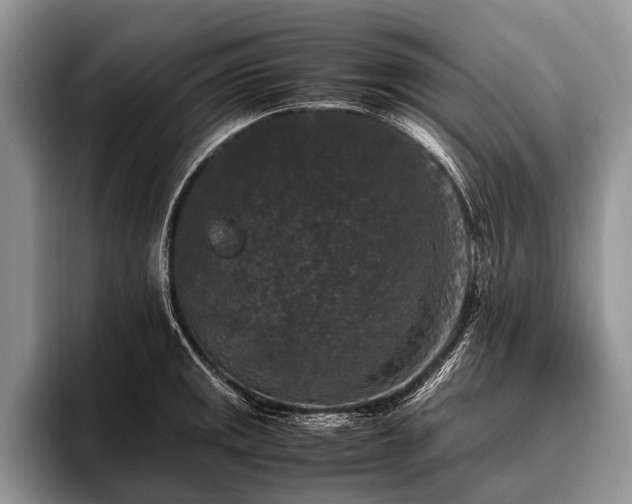 X0000096981141200802081402