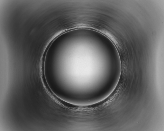 X0000096981142200802081402