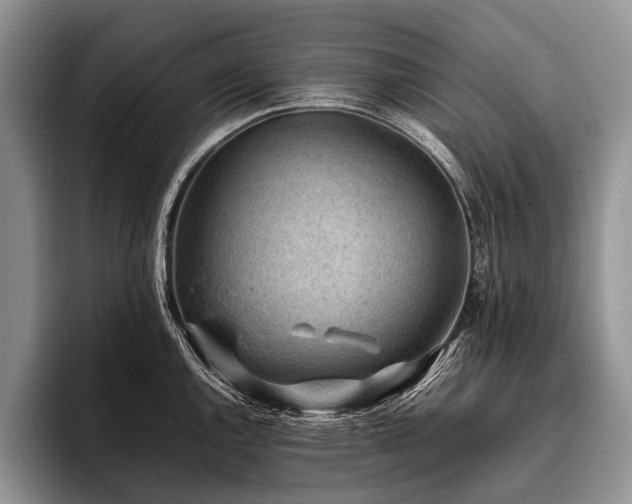 X0000096981144200802081402