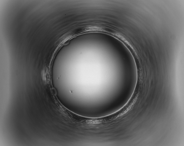 X0000096981145200802081402