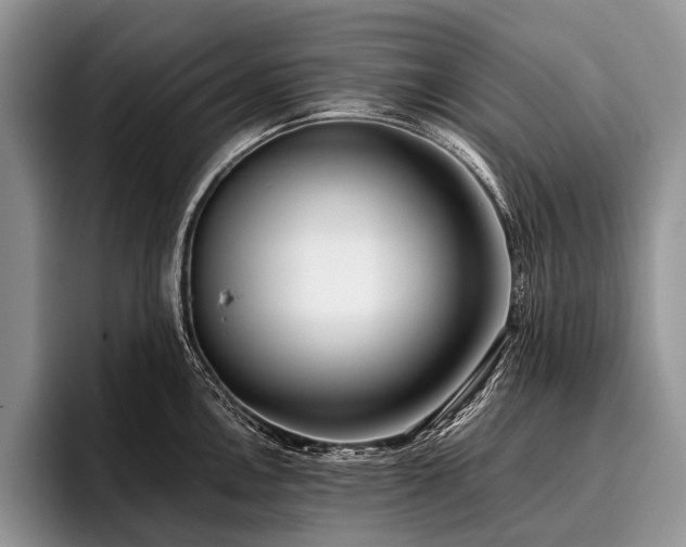 X0000096981146200802081402