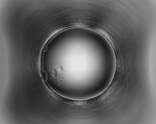 X0000096981147200802081402