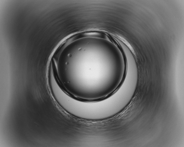 X0000096981148200802081402