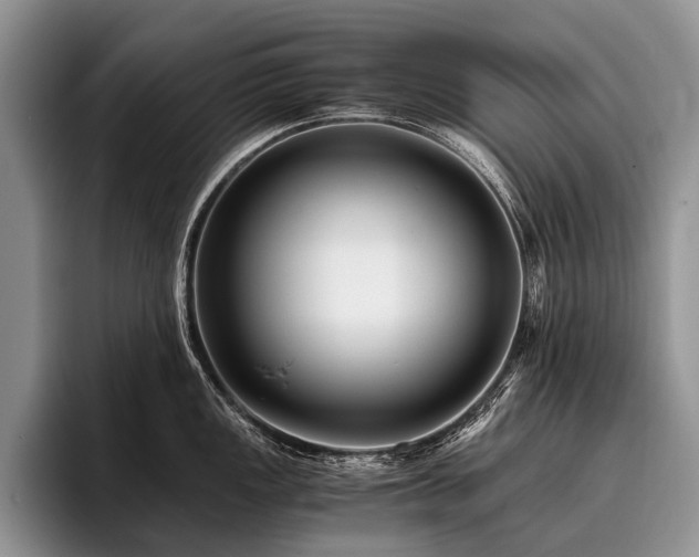 X0000096981149200802081402