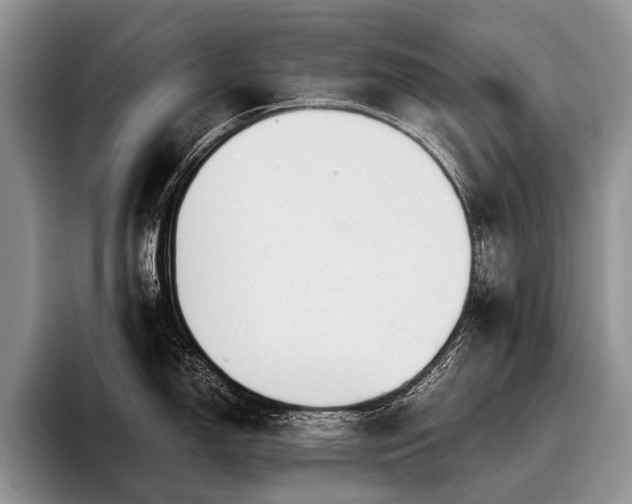 X0000096981150200802081402