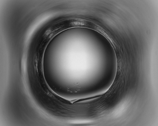 X0000096981151200802081402