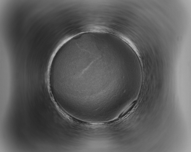 X0000096981152200802081402