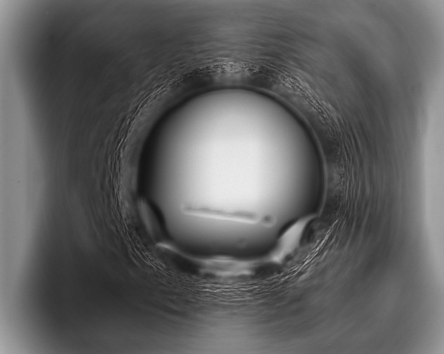 X0000096981153200802081402