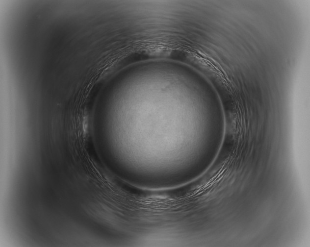 X0000096981154200802081402