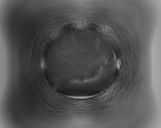 X0000096981155200802081402