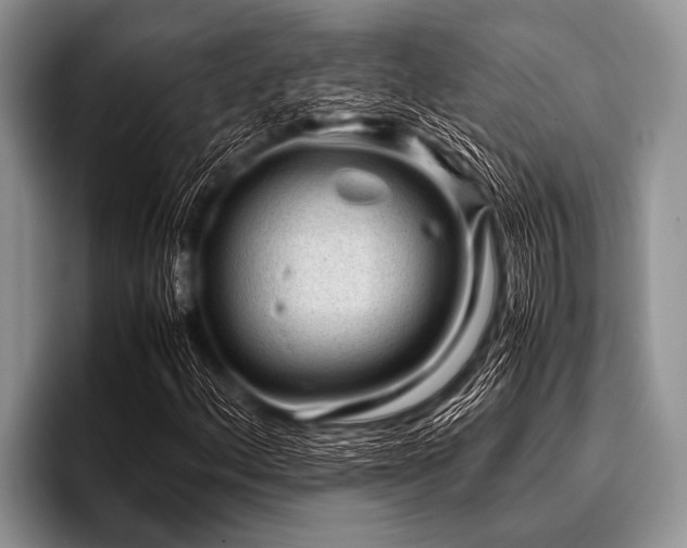 X0000096981156200802081402