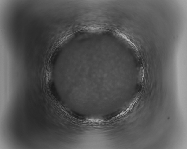 X0000096981157200802081402