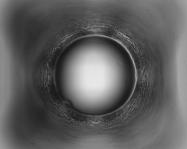 X0000096981158200802081402