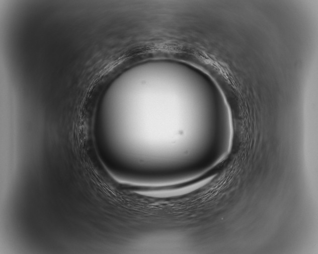 X0000096981159200802081402