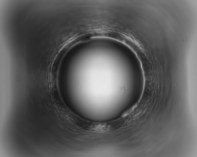 X0000096981160200802081401