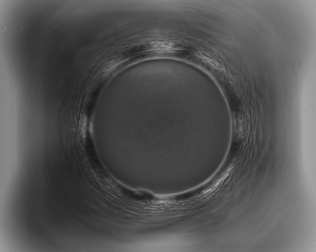 X0000096981161200802081401