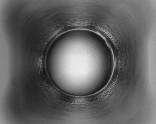 X0000096981162200802081401