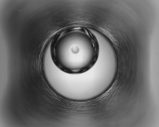 X0000096981164200802081401